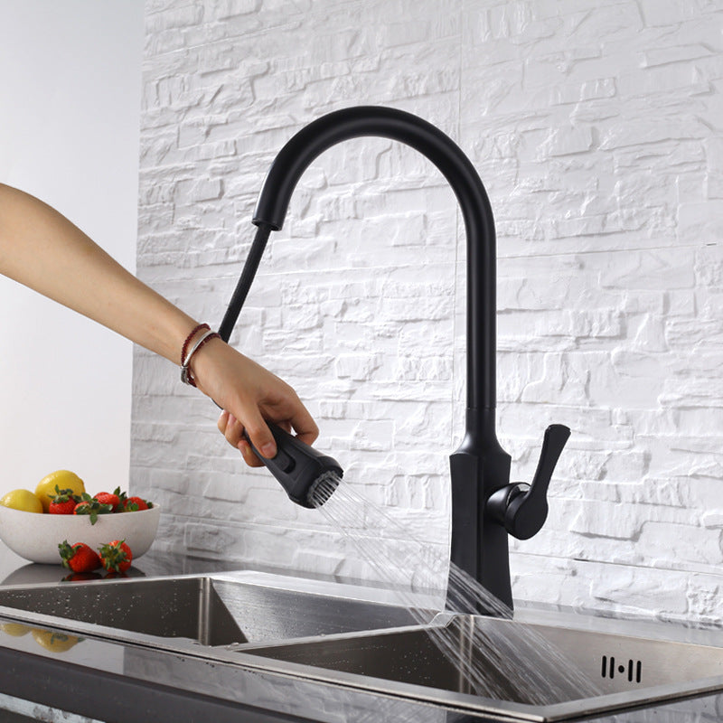 Eclipse - Pull-Out Rotating Sink Faucet